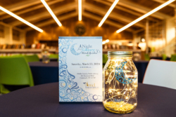 A Night at the Library 2026